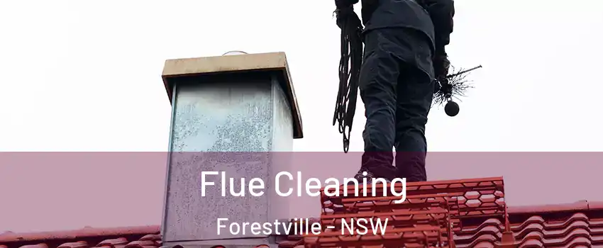 Flue Cleaning Forestville - NSW