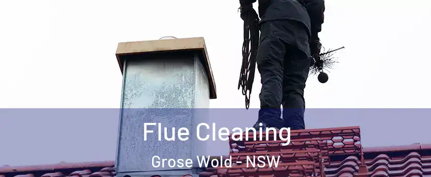 Flue Cleaning Grose Wold - NSW