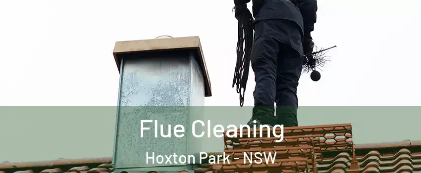 Flue Cleaning Hoxton Park - NSW