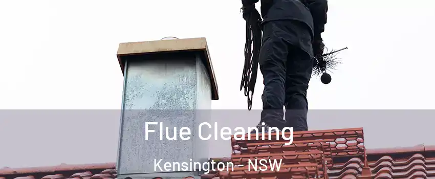 Flue Cleaning Kensington - NSW