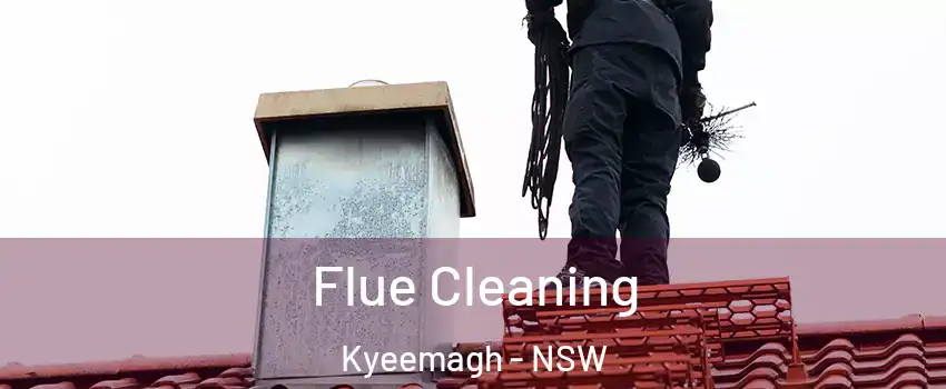 Flue Cleaning Kyeemagh - NSW