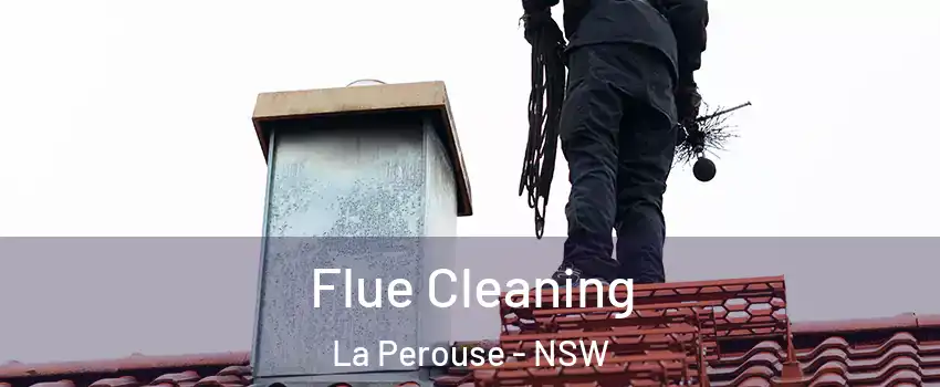 Flue Cleaning La Perouse - NSW