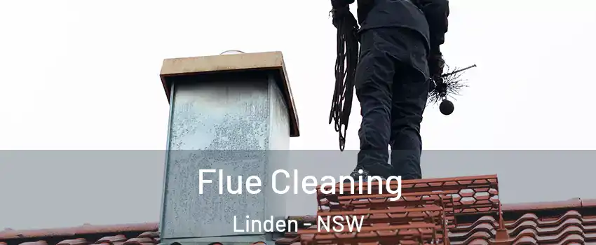 Flue Cleaning Linden - NSW