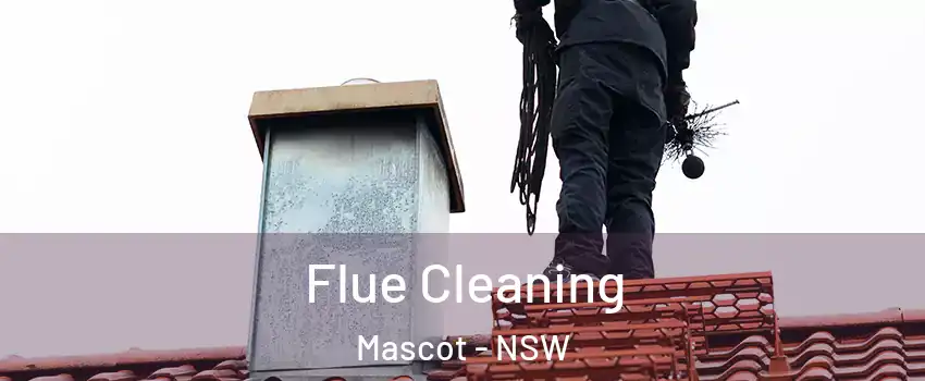 Flue Cleaning Mascot - NSW