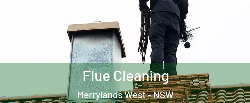 Flue Cleaning Merrylands West - NSW