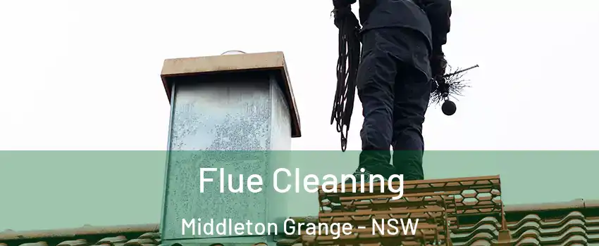 Flue Cleaning Middleton Grange - NSW