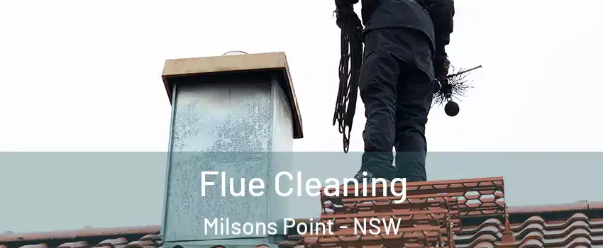 Flue Cleaning Milsons Point - NSW