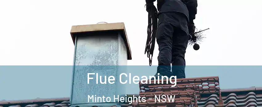 Flue Cleaning Minto Heights - NSW