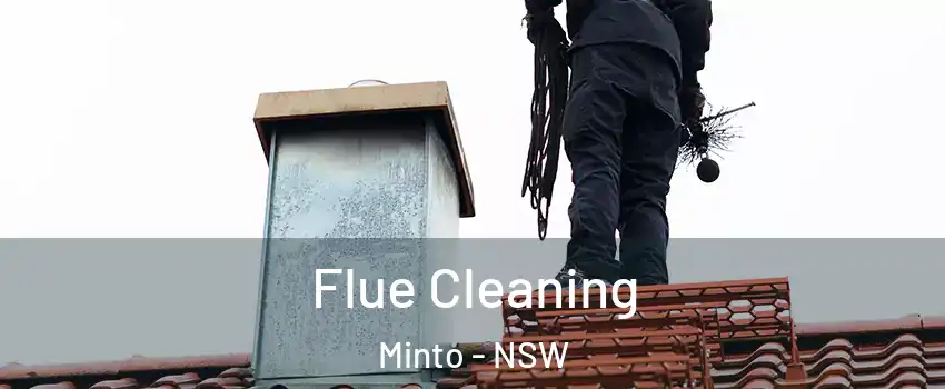Flue Cleaning Minto - NSW