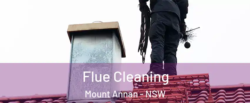 Flue Cleaning Mount Annan - NSW