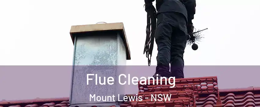 Flue Cleaning Mount Lewis - NSW