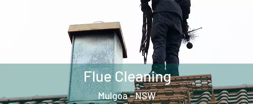 Flue Cleaning Mulgoa - NSW