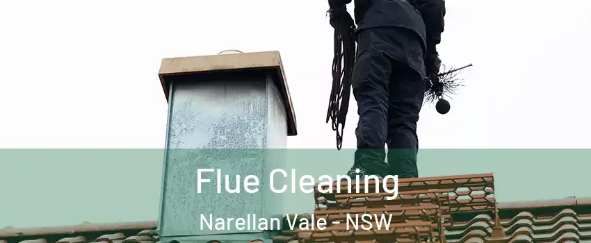 Flue Cleaning Narellan Vale - NSW