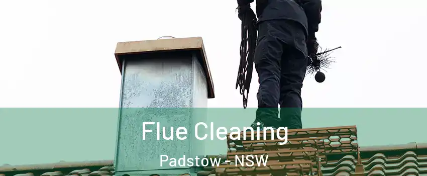 Flue Cleaning Padstow - NSW