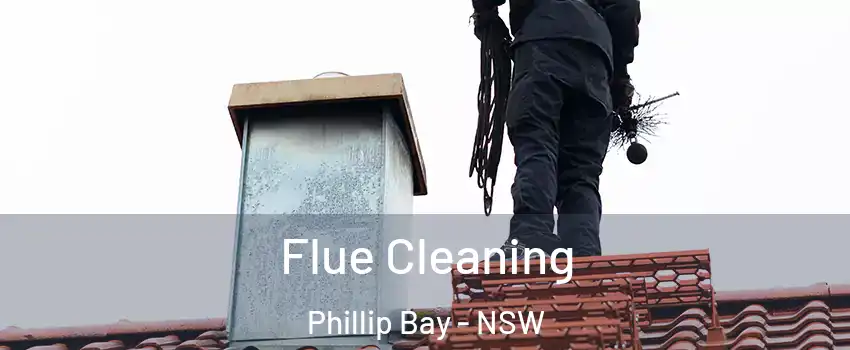 Flue Cleaning Phillip Bay - NSW