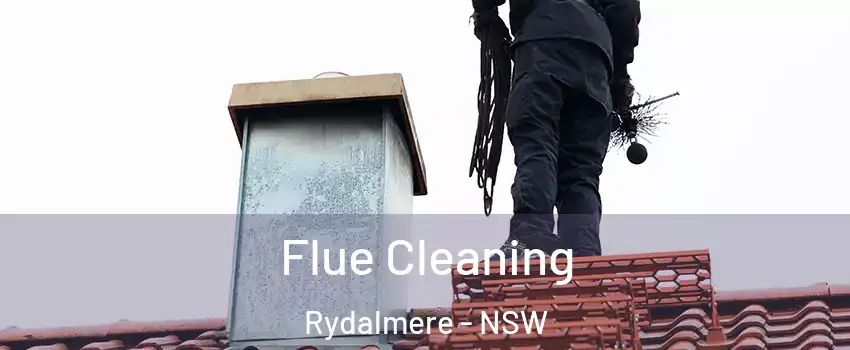 Flue Cleaning Rydalmere - NSW