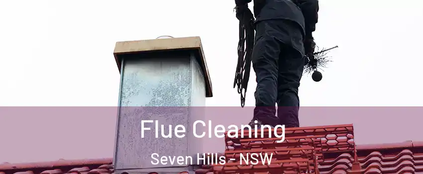 Flue Cleaning Seven Hills - NSW