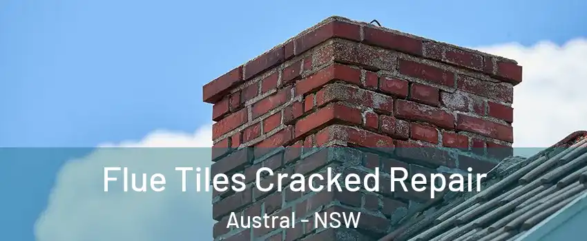Flue Tiles Cracked Repair Austral - NSW