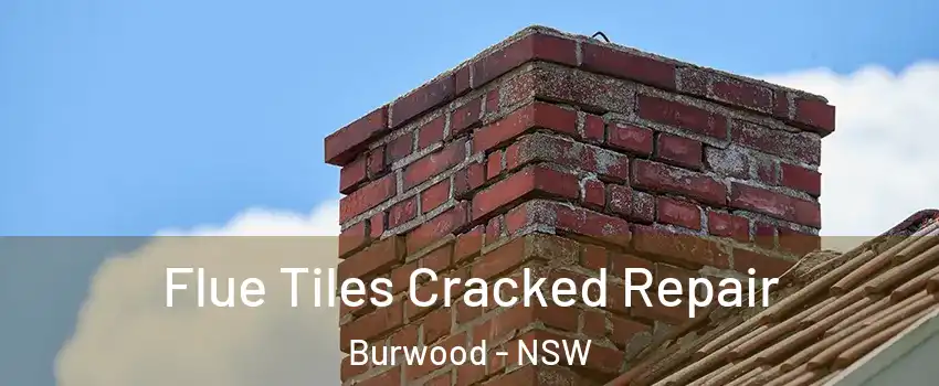  Flue Tiles Cracked Repair Burwood - NSW