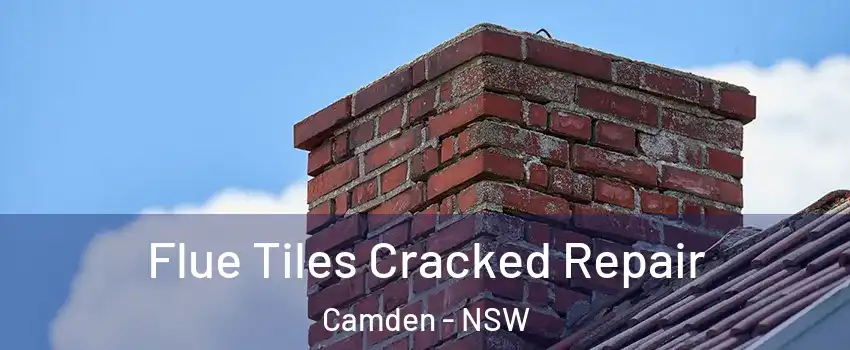 Flue Tiles Cracked Repair Camden - NSW