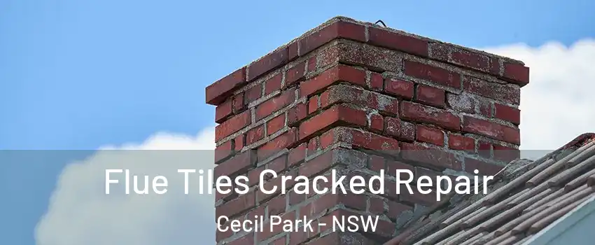 Flue Tiles Cracked Repair Cecil Park - NSW