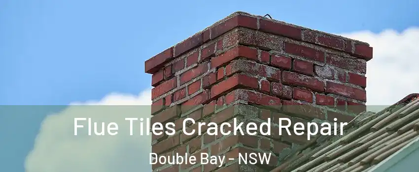 Flue Tiles Cracked Repair Double Bay - NSW