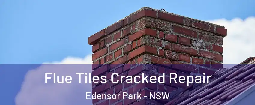 Flue Tiles Cracked Repair Edensor Park - NSW