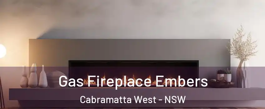 Gas Fireplace Embers Cabramatta West - NSW
