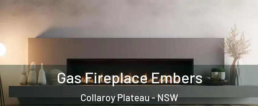 Gas Fireplace Embers Collaroy Plateau - NSW