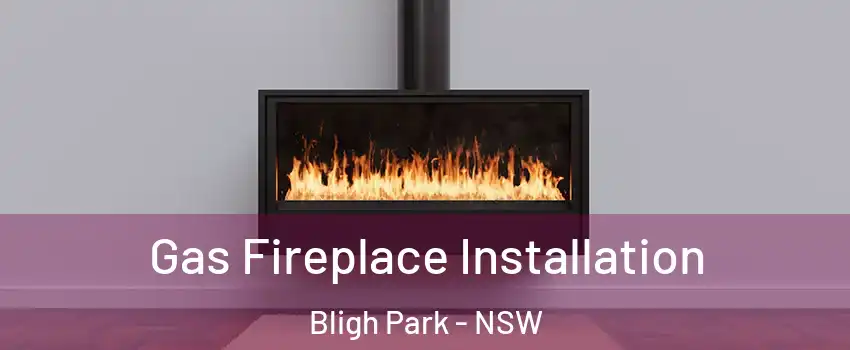 Gas Fireplace Installation Bligh Park - NSW