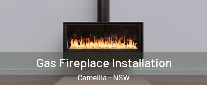 Gas Fireplace Installation Camellia - NSW
