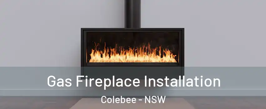 Gas Fireplace Installation Colebee - NSW