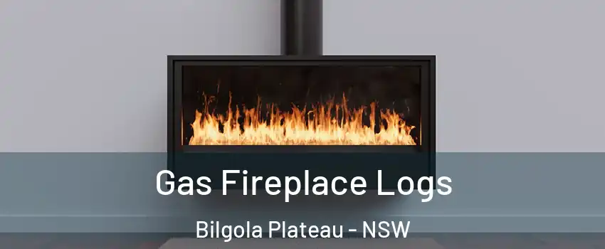 Gas Fireplace Logs Bilgola Plateau - NSW