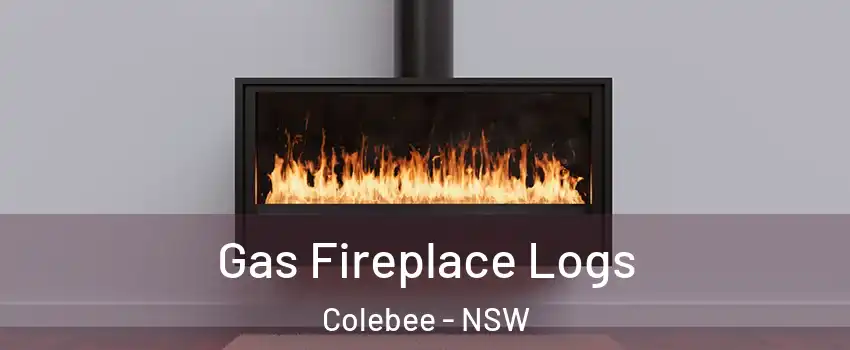  Gas Fireplace Logs Colebee - NSW