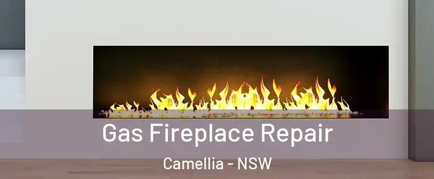 Gas Fireplace Repair Camellia - NSW