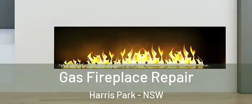 Gas Fireplace Repair Harris Park - NSW