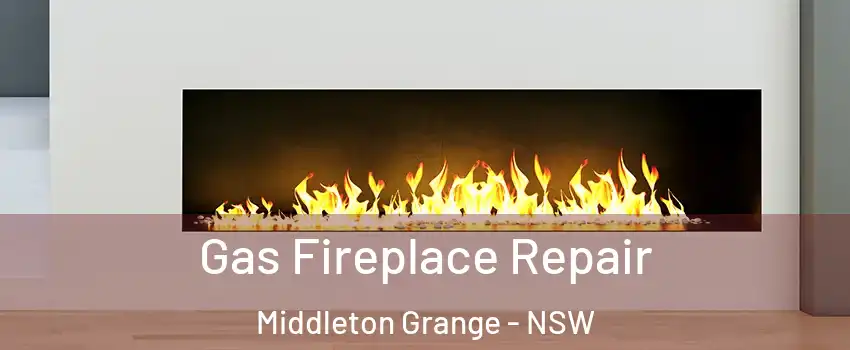 Gas Fireplace Repair Middleton Grange - NSW