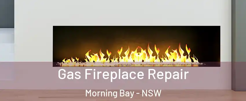  Gas Fireplace Repair Morning Bay - NSW