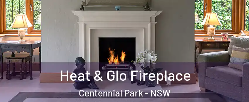 Heat & Glo Fireplace Centennial Park - NSW