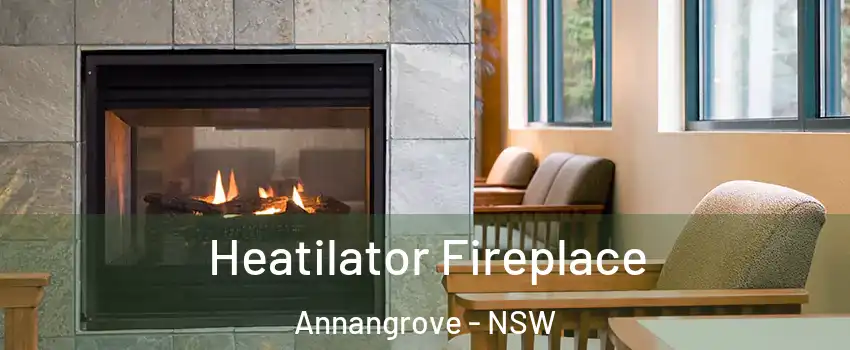 Heatilator Fireplace Annangrove - NSW