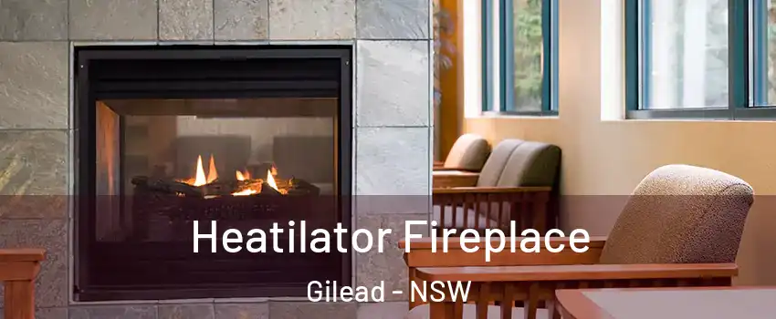 Heatilator Fireplace Gilead - NSW