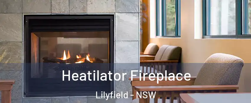Heatilator Fireplace Lilyfield - NSW
