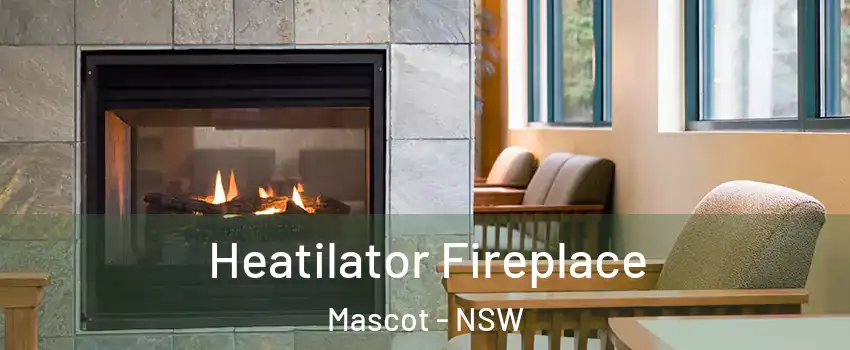 Heatilator Fireplace Mascot - NSW