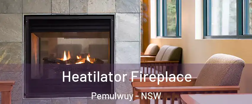 Heatilator Fireplace Pemulwuy - NSW