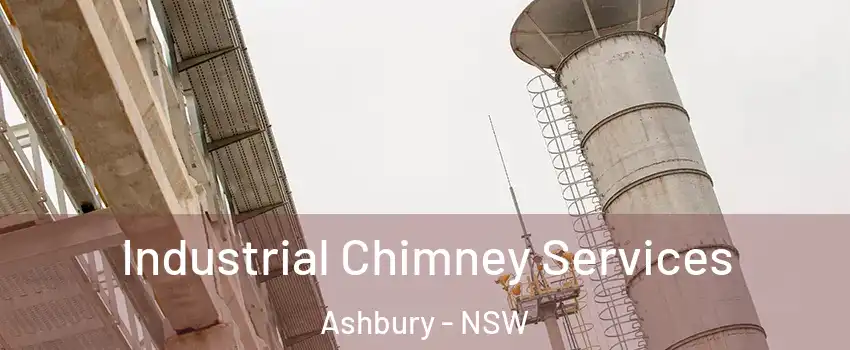 Industrial Chimney Services Ashbury - NSW