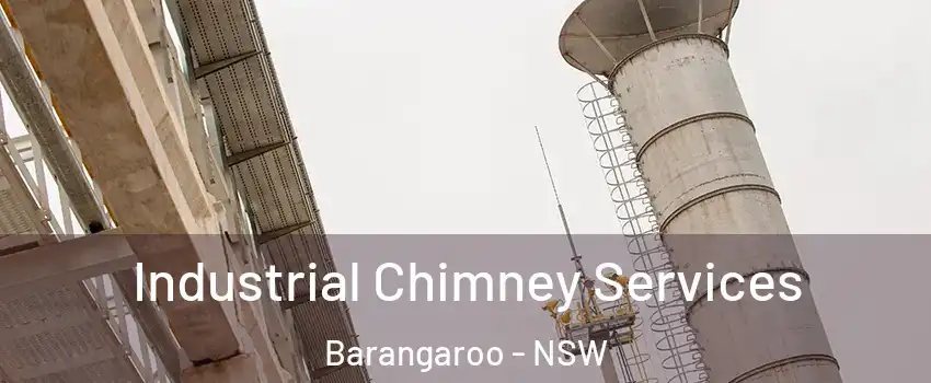 Industrial Chimney Services Barangaroo - NSW