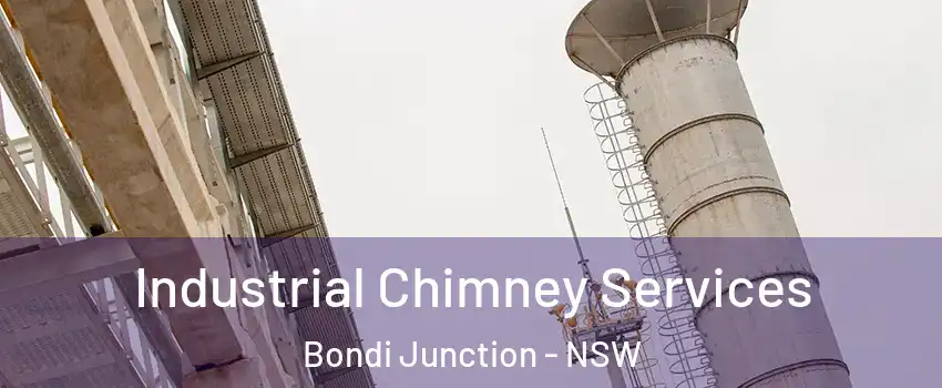 Industrial Chimney Services Bondi Junction - NSW
