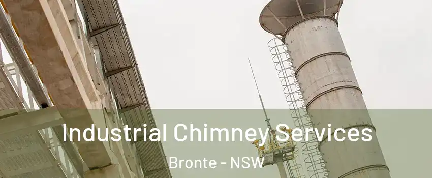 Industrial Chimney Services Bronte - NSW