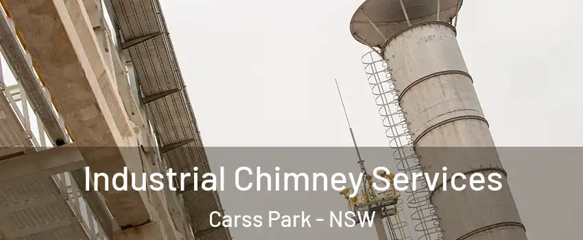 Industrial Chimney Services Carss Park - NSW