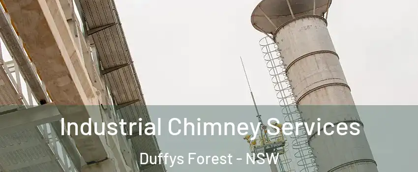 Industrial Chimney Services Duffys Forest - NSW